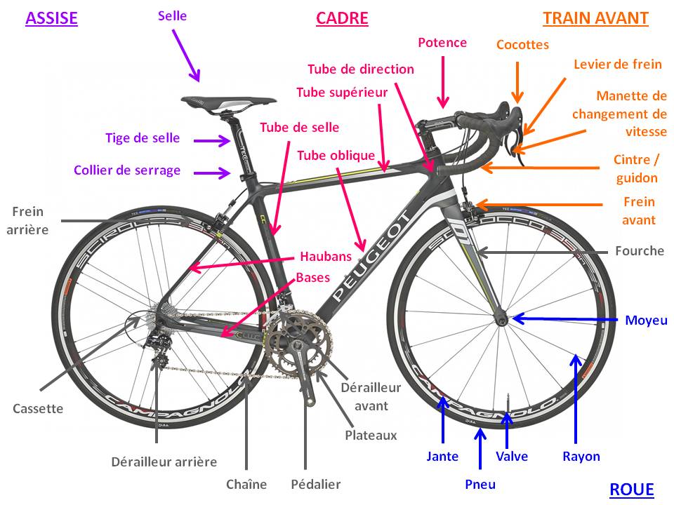 Anatomie du vélo de route – Charlotte Fun and Go